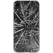 GCN-VB11-D-TL [GLASS PRINT iPhone XR VINTAGE BOTANICAL Araliacordata TL]