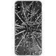 GCN-VB11-E-TL [GLASS PRINT iPhone XS Max VINTAGE BOTANICAL Araliacordata TL]