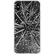GCN-VB11-E-TL [GLASS PRINT iPhone XS Max VINTAGE BOTANICAL Araliacordata TL]