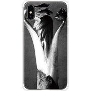 GCN-VB12-C-TL [GLASS PRINT iPhone XS/X VINTAGE BOTANICAL Sprout TL]