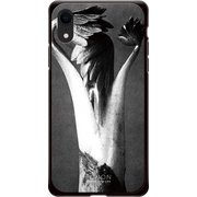 GCN-VB12-D-BK [GLASS PRINT iPhone XR VINTAGE BOTANICAL Sprout BK]