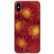 GCN-FR01-C-TL [GLASS PRINT iPhone XS/X FLORAL Aflican Daisy TL]