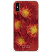 GCN-FR01-C-TL [GLASS PRINT iPhone XS/X FLORAL Aflican Daisy TL]