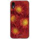 GCN-FR01-D-TL [GLASS PRINT iPhone XR FLORAL Aflican Daisy TL]