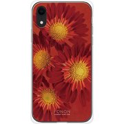 GCN-FR01-D-TL [GLASS PRINT iPhone XR FLORAL Aflican Daisy TL]