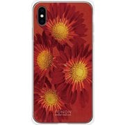 GCN-FR01-E-TL [GLASS PRINT iPhone XS Max FLORAL Aflican Daisy TL]