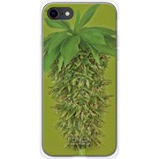 GCN-FR02-A-TL [GLASS PRINT iPhone 8/7 FLORAL Grow Ripe TL]