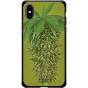 GCN-FR02-C-BK [GLASS PRINT iPhone XS/X FLORAL Grow Ripe BK]