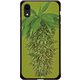 GCN-FR02-D-BK [GLASS PRINT iPhone XR FLORAL Grow Ripe BK]