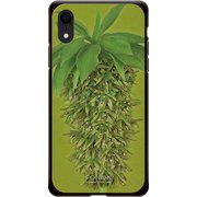 GCN-FR02-D-BK [GLASS PRINT iPhone XR FLORAL Grow Ripe BK]
