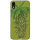 GCN-FR02-D-TL [GLASS PRINT iPhone XR FLORAL Grow Ripe TL]