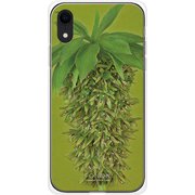 GCN-FR02-D-TL [GLASS PRINT iPhone XR FLORAL Grow Ripe TL]