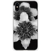 GCN-FR04-C-TL [GLASS PRINT iPhone XS/X FLORAL Mono FLORAL TL]