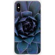 GCN-FR05-C-TL [GLASS PRINT iPhone XS/X FLORAL Blue Bloom TL]