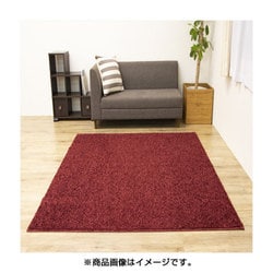 ヨドバシ.com - イケヒコ IKEHIKO 防ダニ・防炎機能カーペット