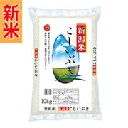 精米 新潟産こしいぶき 10kg 令和7年産