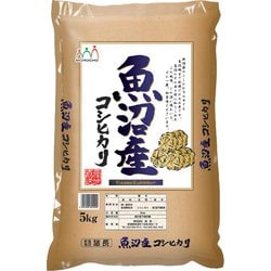 精米 魚沼産 コシヒカリ 5kg 令和6年産