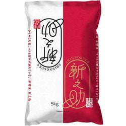 精米 新潟県産 新之助 5kg 令和6年産
