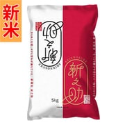 精米 新潟県産 新之助 5kg 令和7年産