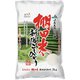 精米 上越産棚田コシヒカリ 5kg 令和5年産