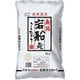 精米 岩船産コシヒカリ 5kg 令和6年産