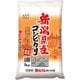 精米 新潟県産 コシヒカリ 5kg 令和6年産