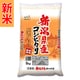 精米 新潟県産 コシヒカリ 5kg 令和7年産