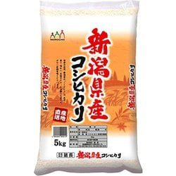 精米 新潟県産 コシヒカリ 5kg 令和6年産