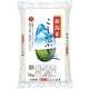 精米 新潟産こしいぶき 5kg 令和5年産