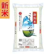 精米 新潟産こしいぶき 5kg 令和7年産