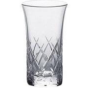 T-21104HS-E107 [レジナ 一口ビール 135mL 6個セット]