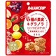 バランスアップ 6種の果実＆グラノラ ひとくちビスケット [23g]