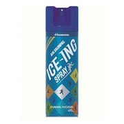 エアーサロンパスアイシングスプレー 490ml [アイシング用品]