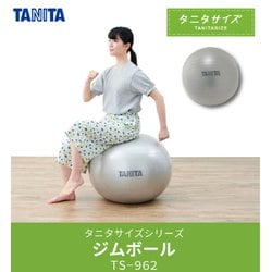 ヨドバシ.com - タニタ TANITA TS-962 [ジムボール] 通販【全品無料配達】