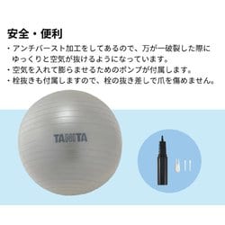 ヨドバシ.com - タニタ TANITA TS-962 [ジムボール] 通販【全品無料配達】