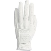 AD19SS XA246 CL0621 [アルティメイト Synthetic グローブ メンズ 21サイズ ホワイト]