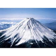 21-515 富士山 雄大富士 [ジグソーパズル 究極パズルの達人 スモール 3000ピース（完成サイズ：73×102cm）]