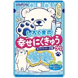 【中古】 しろくまミルク/ＫＡＤＯＫＡＷＡ 91e1MyNS4rL._UF350,350_QL50_.jpg