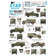 SD35-C1203 WWII 米 英連邦 連合軍 M3A1ホワイトスカウトカー1943～45年のイタリア戦線で連合軍に就役したM3A1 自由ポーランド軍、ニュージーランド軍、南アフリカ軍、イギリス陸軍 [1/35スケール ミリタリー用デカール]