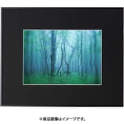 ギャラリー A4 ブラック AGY-A4-BK