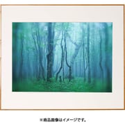 ギャラリー A2 ナチュラル AGY-A2-NA