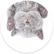 PopGrip Cat Nap [スマートフォンアクセサリー]