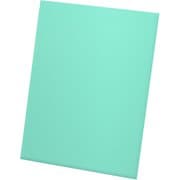 UGD010896 KATANA Sleeves Standard Size Turquoise (100) [トレーディングカード用品]