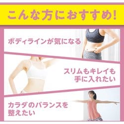DHC - DHC プロテインダイエット　マンゴー&amp;オレンジ味30袋　プレミアム　送料込み DHC プロティンダイエット 美Body（マンゴー味） 300g