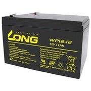 WP12-12 [制御弁式鉛蓄電池 UPS・非常電源用]