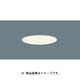軒下ダウンライト 100W 電球色 W 100 LGW73112LE1