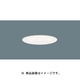 軒下ダウンライト 100W 温白色 W 100 LGW73111LE1