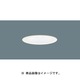 軒下ダウンライト 100W 昼白色 W 100 LGW73110LE1