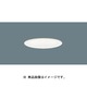 軒下ダウンライト 60W 温白色 W 100 LGW72111LE1