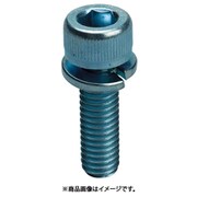 Y15S0540 [TRUSCO ばね座金組込六角穴付ボルト スチール M5X40 19本入]